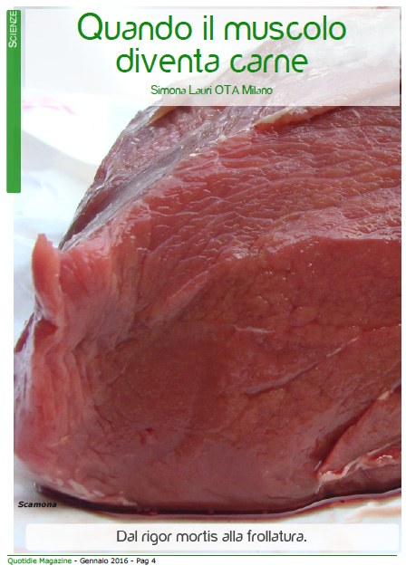 scienza_carne.jpg