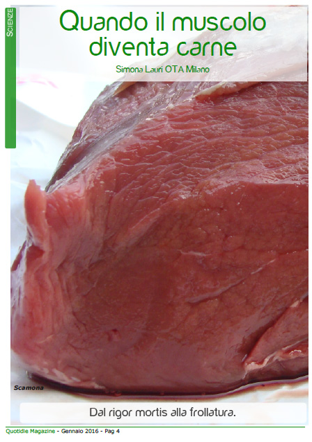 scienza_carne.jpg