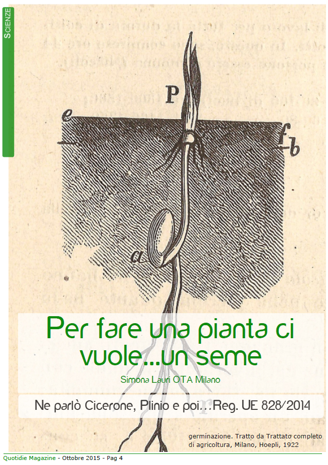scienze_seme.jpg